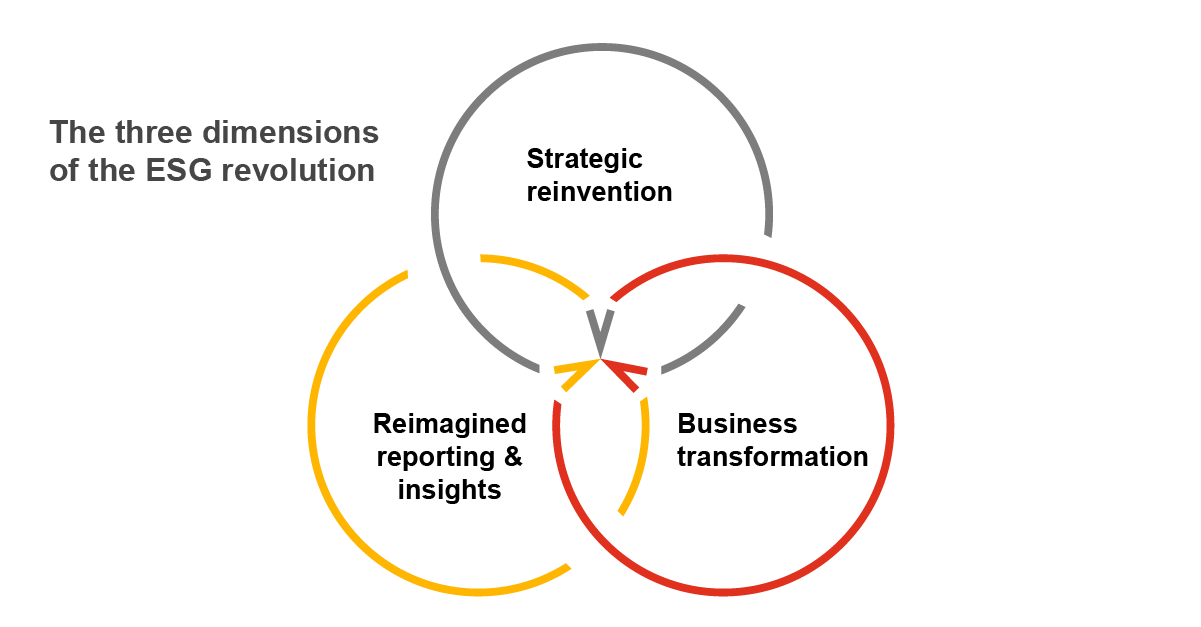 From strategy to a sustainable and profitable business model