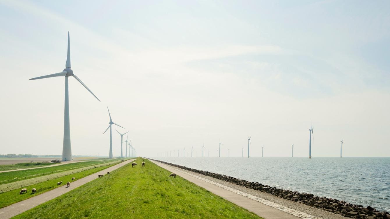 Celebrating success: The Netherlands' journey towards a sustainable future