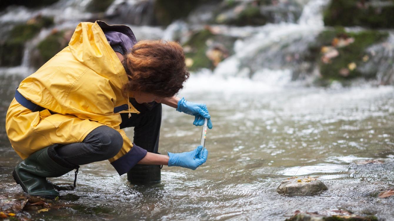 Vijf vragen over onze slechte waterkwaliteit en de gevolgen